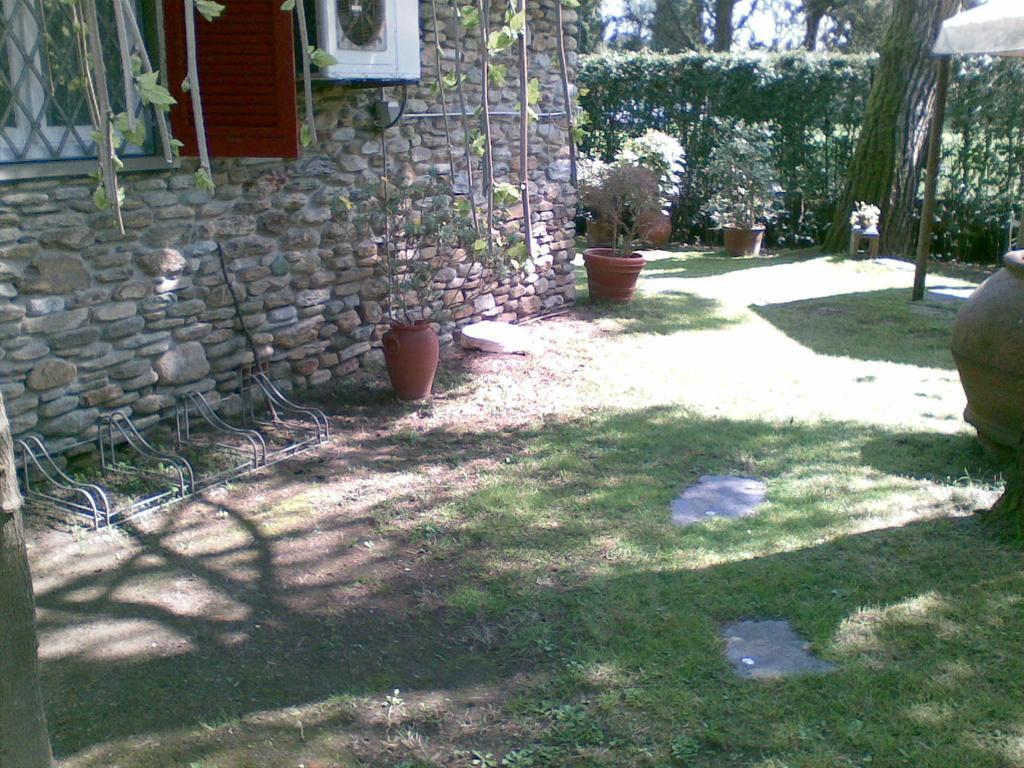 Villa Feltran Forte dei Marmi Habitación foto